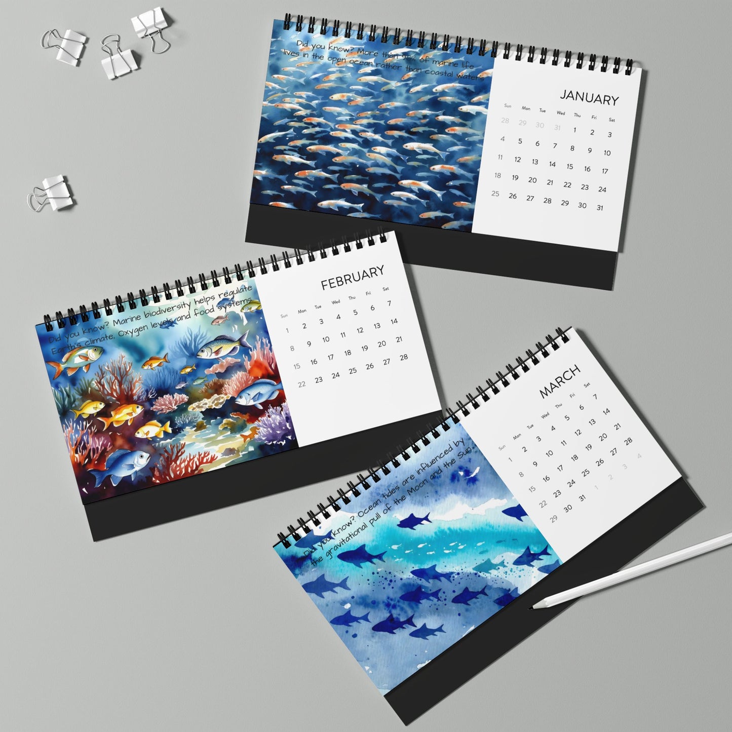 Marine Biology Desktop Calendar 2026 - Ocean-Inspired Monthly Planner