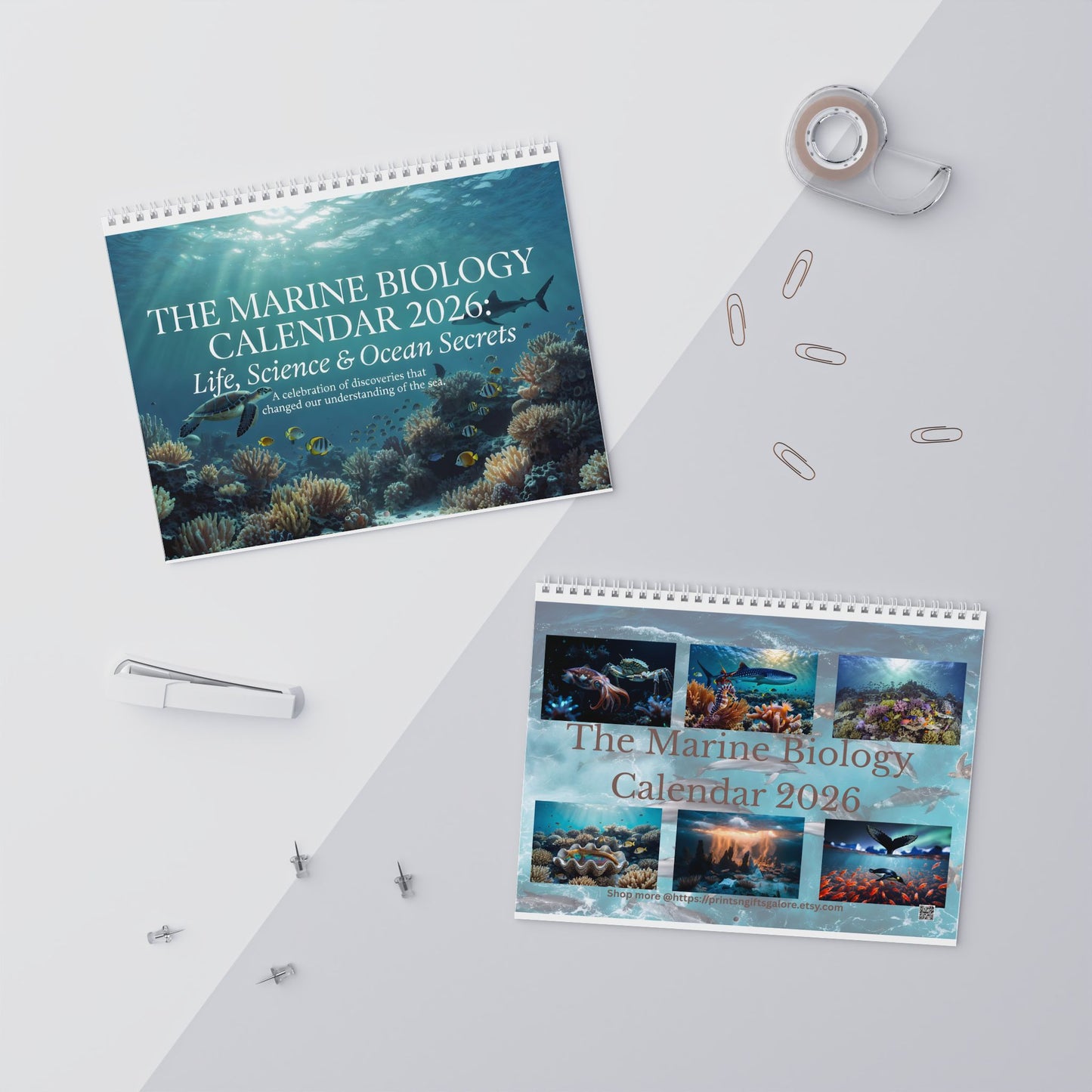 Marine Biology Wall Calendar 2026 | Monthly Seascapes, Discoveries & Humor