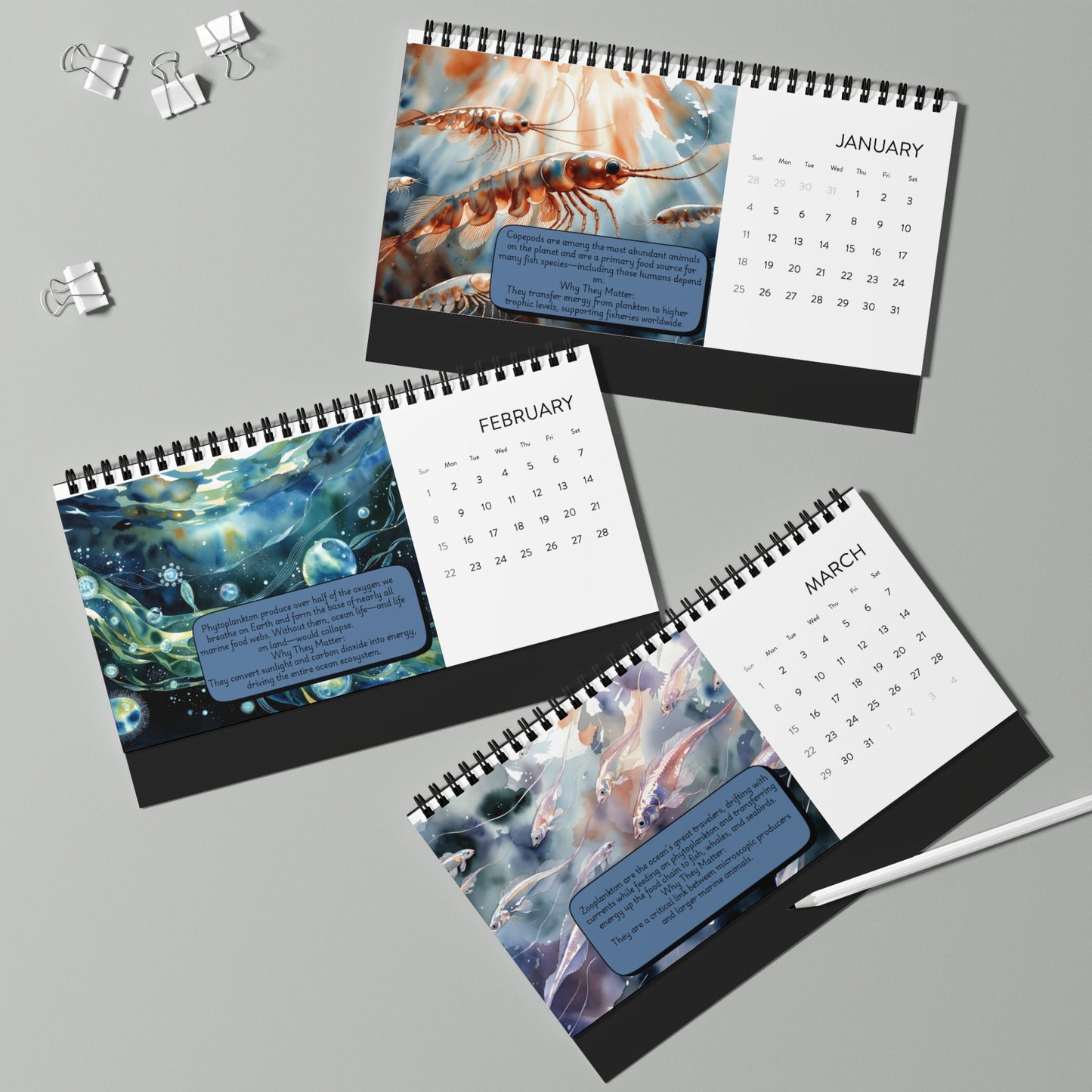2026 Microscopic Oceans Desktop Calendar — Illustrated Science Desk Planner