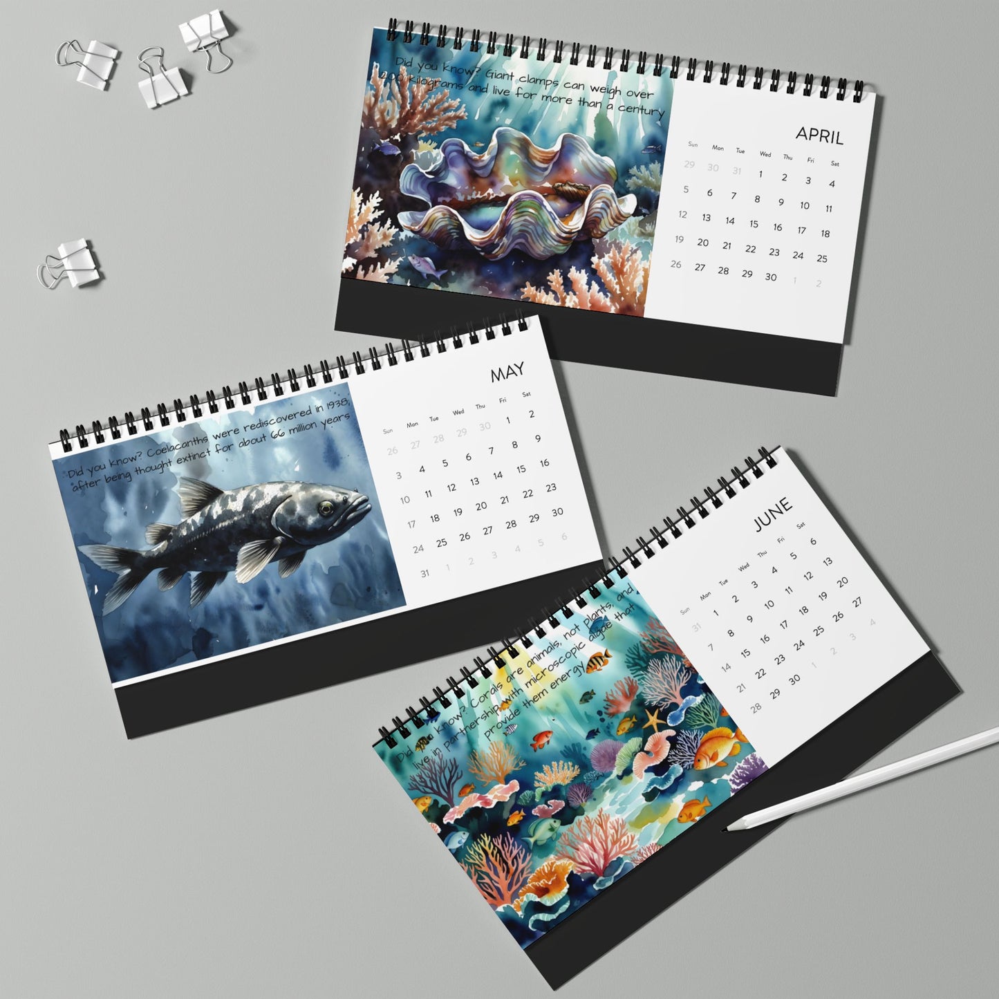 Marine Biology Desktop Calendar 2026 - Ocean-Inspired Monthly Planner