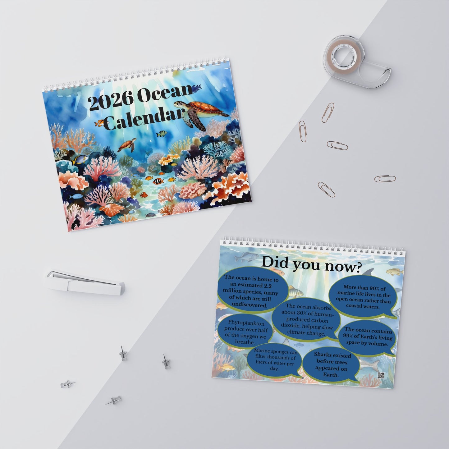 2026 Ocean Calendar — 12‑Month Marine Fish Wall Calendar: A Celebration of Oceans & Marine Biodiversity