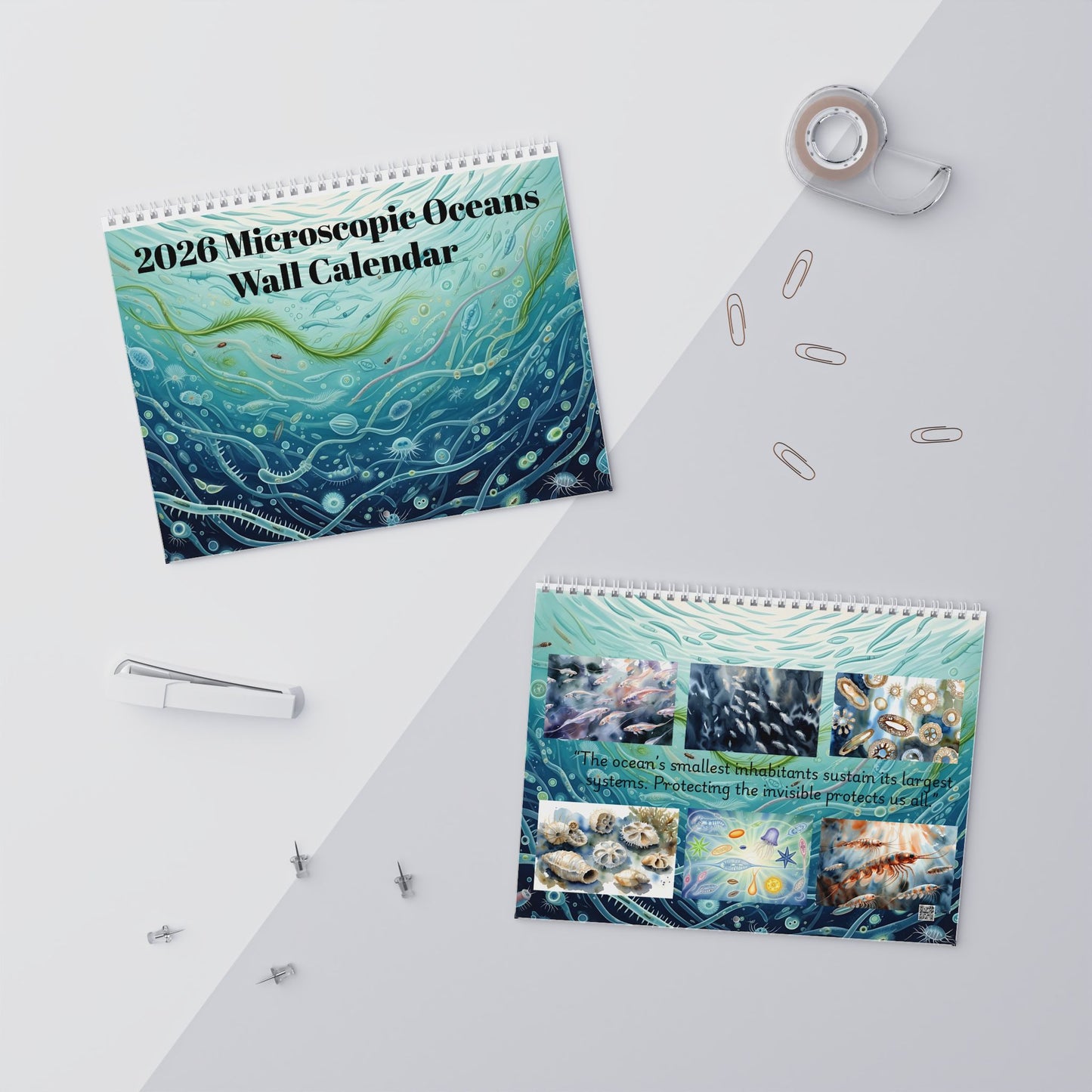 2026 Microscopic Oceans Wall Calendar — Monthly Ocean Creature Art & Awareness