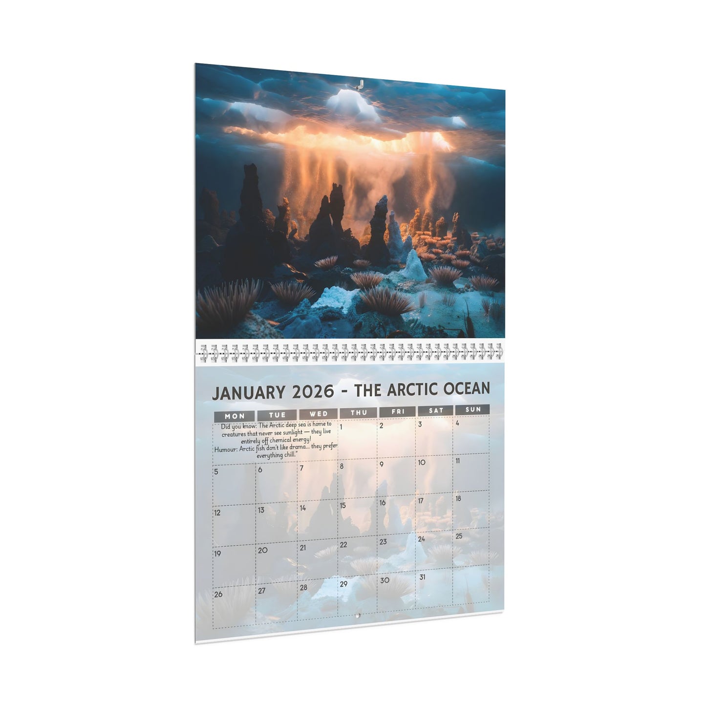 Marine Biology Wall Calendar 2026 | Monthly Seascapes, Discoveries & Humor