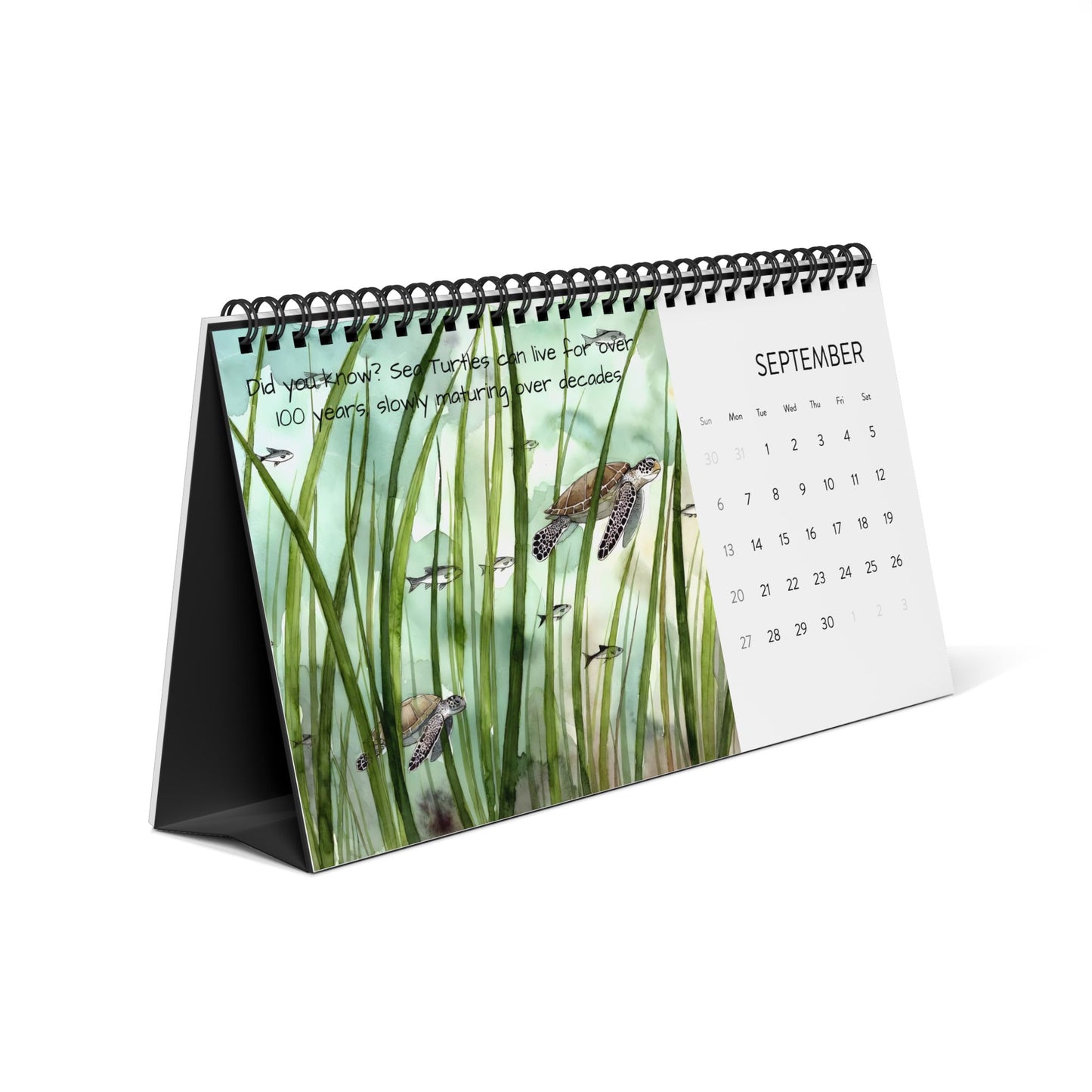 Marine Biology Desktop Calendar 2026 - Ocean-Inspired Monthly Planner
