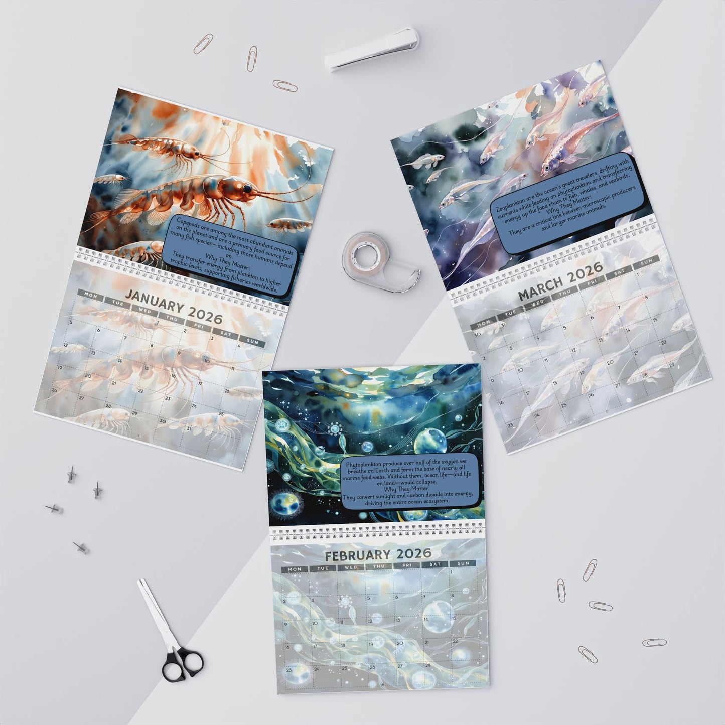 2026 Microscopic Oceans Wall Calendar — Monthly Ocean Creature Art & Awareness