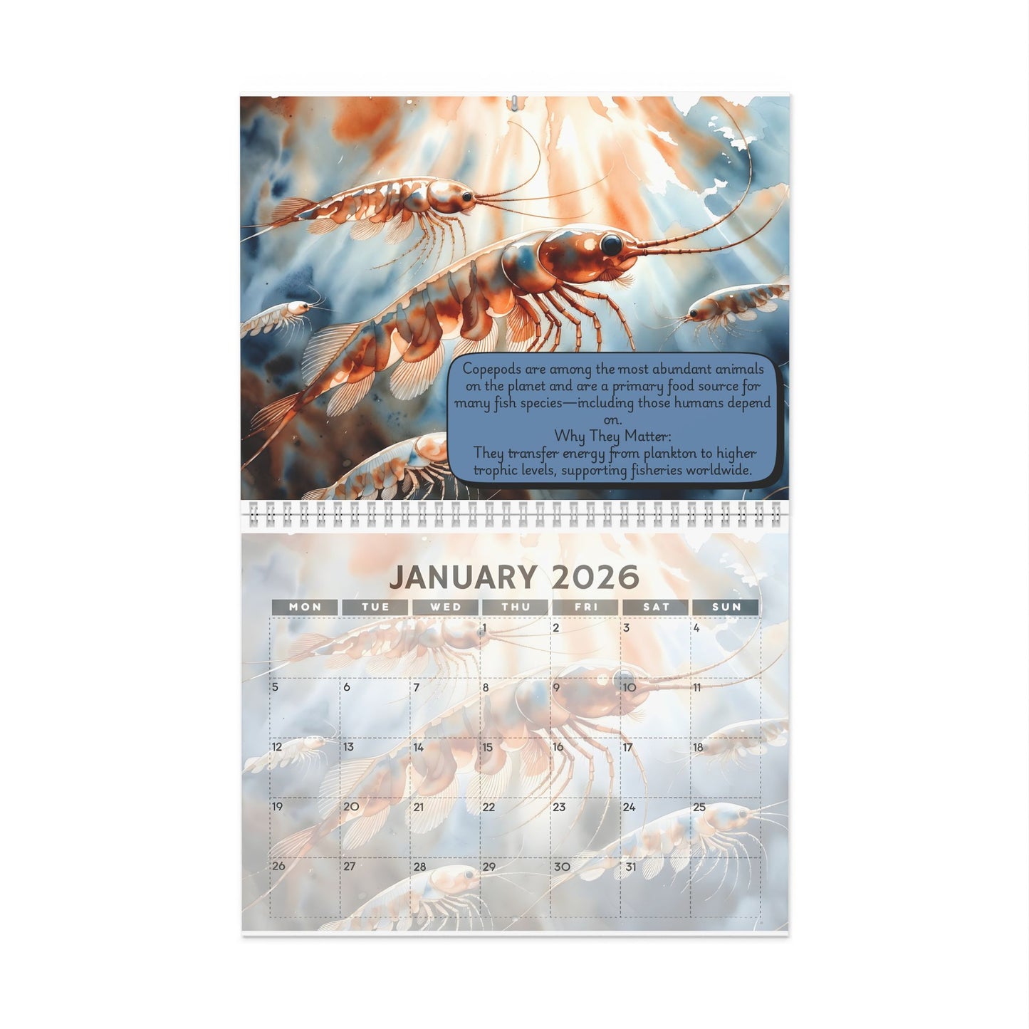 2026 Microscopic Oceans Wall Calendar — Monthly Ocean Creature Art & Awareness