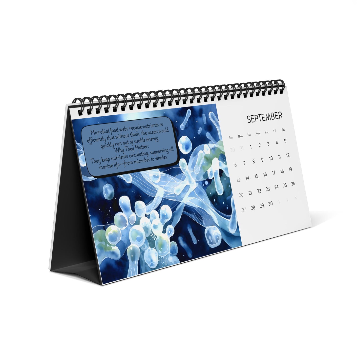 2026 Microscopic Oceans Desktop Calendar — Illustrated Science Desk Planner