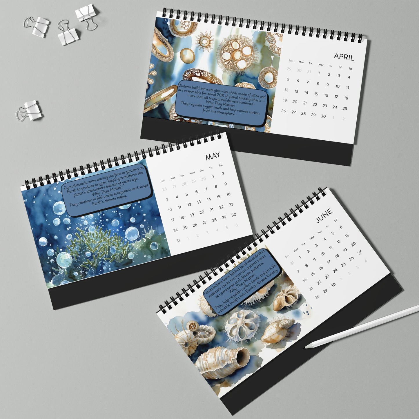 2026 Microscopic Oceans Desktop Calendar — Illustrated Science Desk Planner